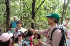 梅小路子ども自然観察会（５月～１０月・全６回）のイメージ