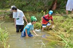 夏休みわんぱく自然教室「水辺の探検発見隊」のイメージ