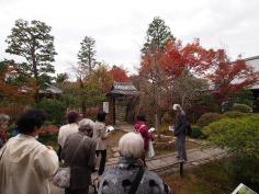 京の庭めぐり～第8回 圓通寺・西村家庭園～のイメージ