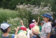 梅小路子ども自然観察会のイメージ