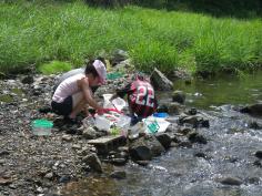 夏休みわんぱく自然教室『水辺の探検・発見隊』のイメージ