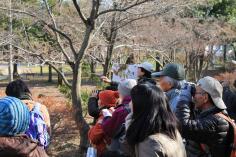 自然観察会（野鳥の観察）のイメージ