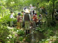 梅小路子ども自然観察会（5月～10月・全6回）のイメージ