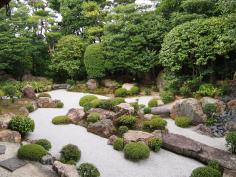 京の庭講座 2019＜枯山水の庭～『妙心寺　東海庵・退蔵院』＞のイメージ