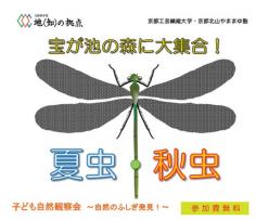 宝が池の森に大集合　夏虫・秋虫のイメージ