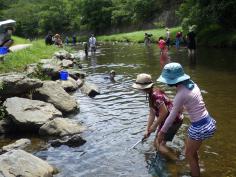 夏休みわんぱく自然教室「水辺の生きもの発見隊」のイメージ