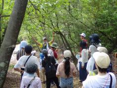 夏休みわんぱく自然教室☆★宝が池デイキャンプ★☆のイメージ