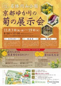 京都ゆかりの菊の展示会・お花見会のイメージ