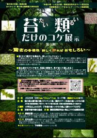 koke_flyer_250509.jpg