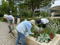 梅小路公園をよく知るツアーのイメージ