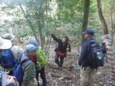 宝が池連続学習会2025　第6回「シカの影響と対策...これまでとこれから」のイメージ