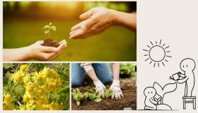 maruyama_planting_Chr_set.jpg