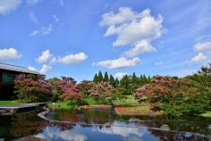 GREEN×EXPO　2027ってなんだろう？　Vol.4「平成から令和へ、日本庭園の魅力と未来 ～京都・朱雀の庭と「令和日本の庭」をめぐる対話～」のイメージ