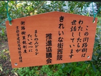 京都市街路樹里親制度