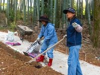 段々畑の植替え準備