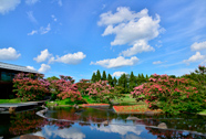 梅小路公園「朱雀の庭」