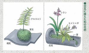 小瓦に植えた例.jpg