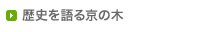 歴史を語る京の木