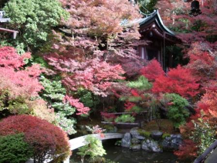 毘沙門堂・晩翠園の画像