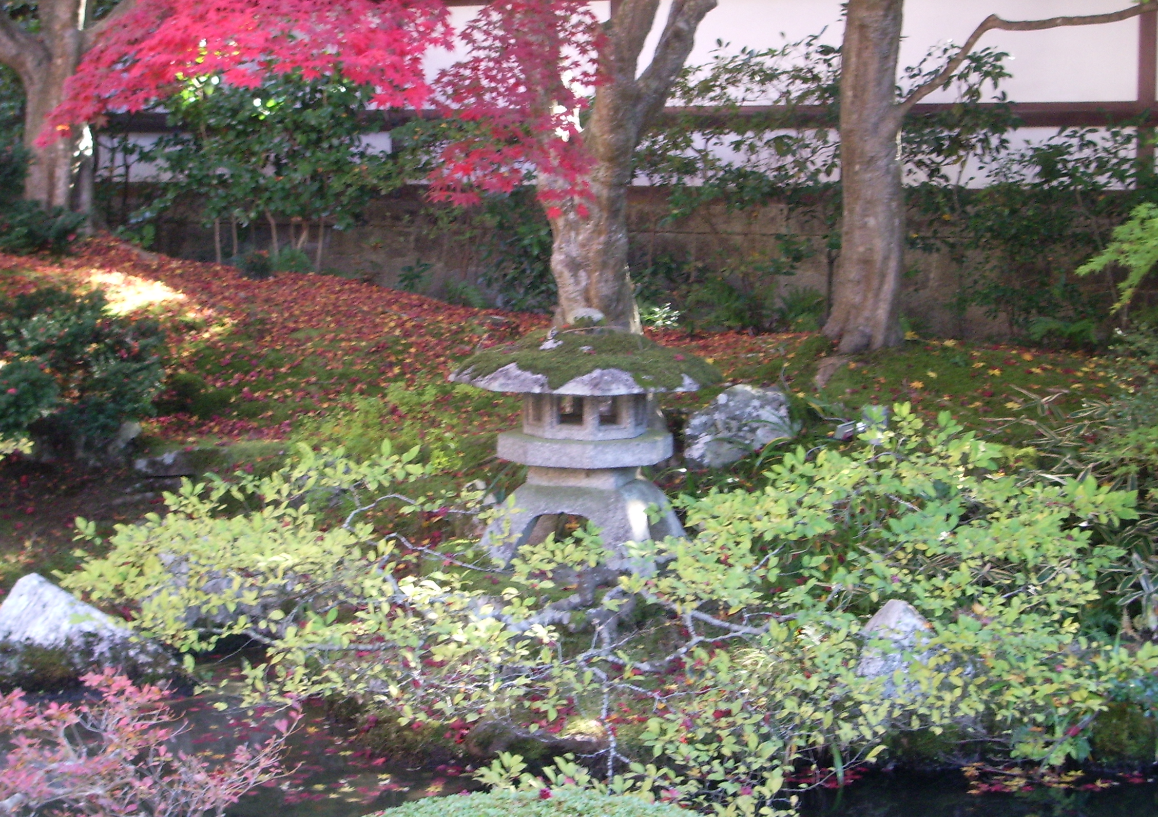 泉涌寺御座所の庭の画像