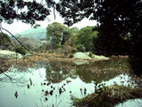 勧修寺庭園（氷池園）