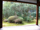 地蔵院（竹の寺）庭園
