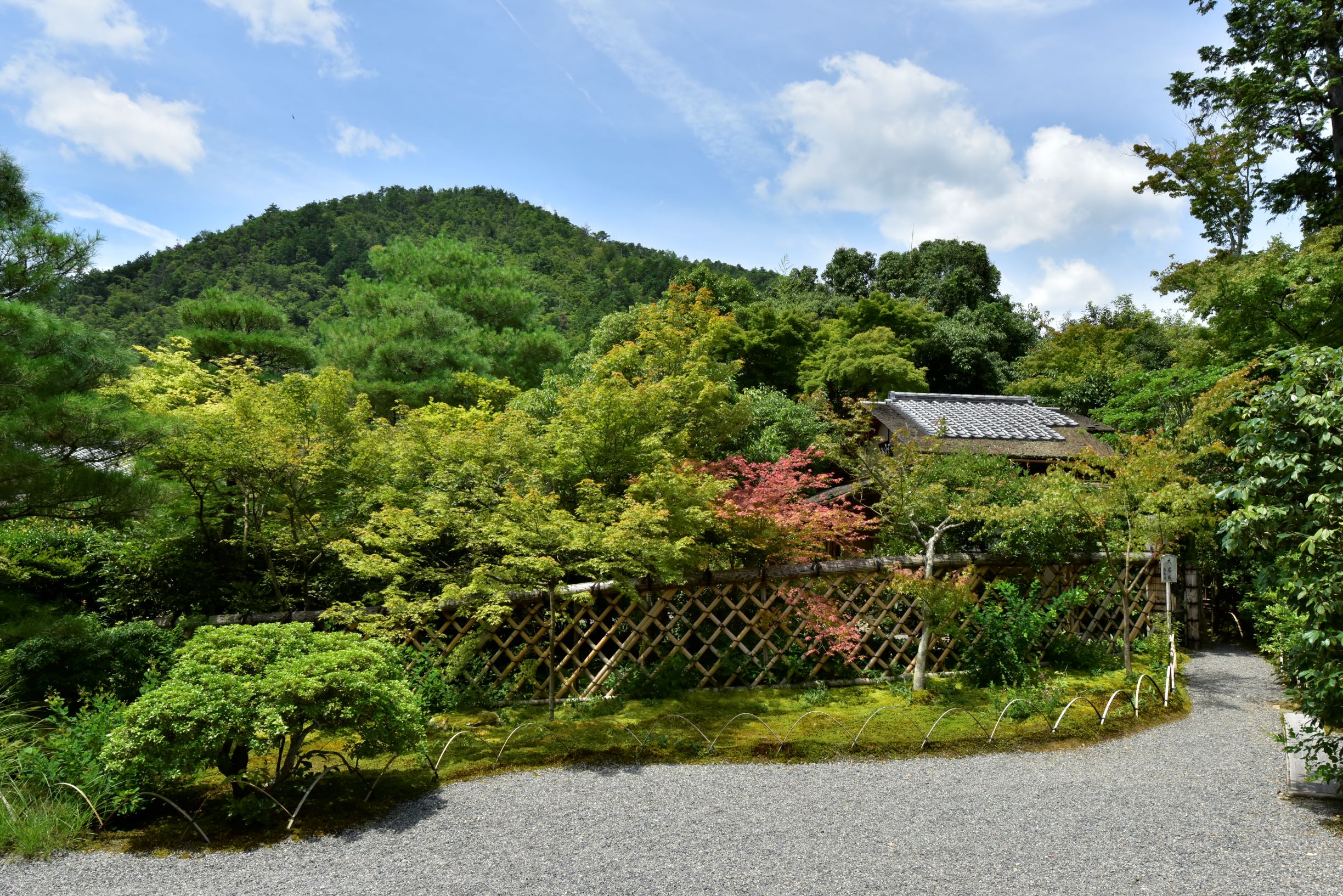 光悦寺庭園の画像