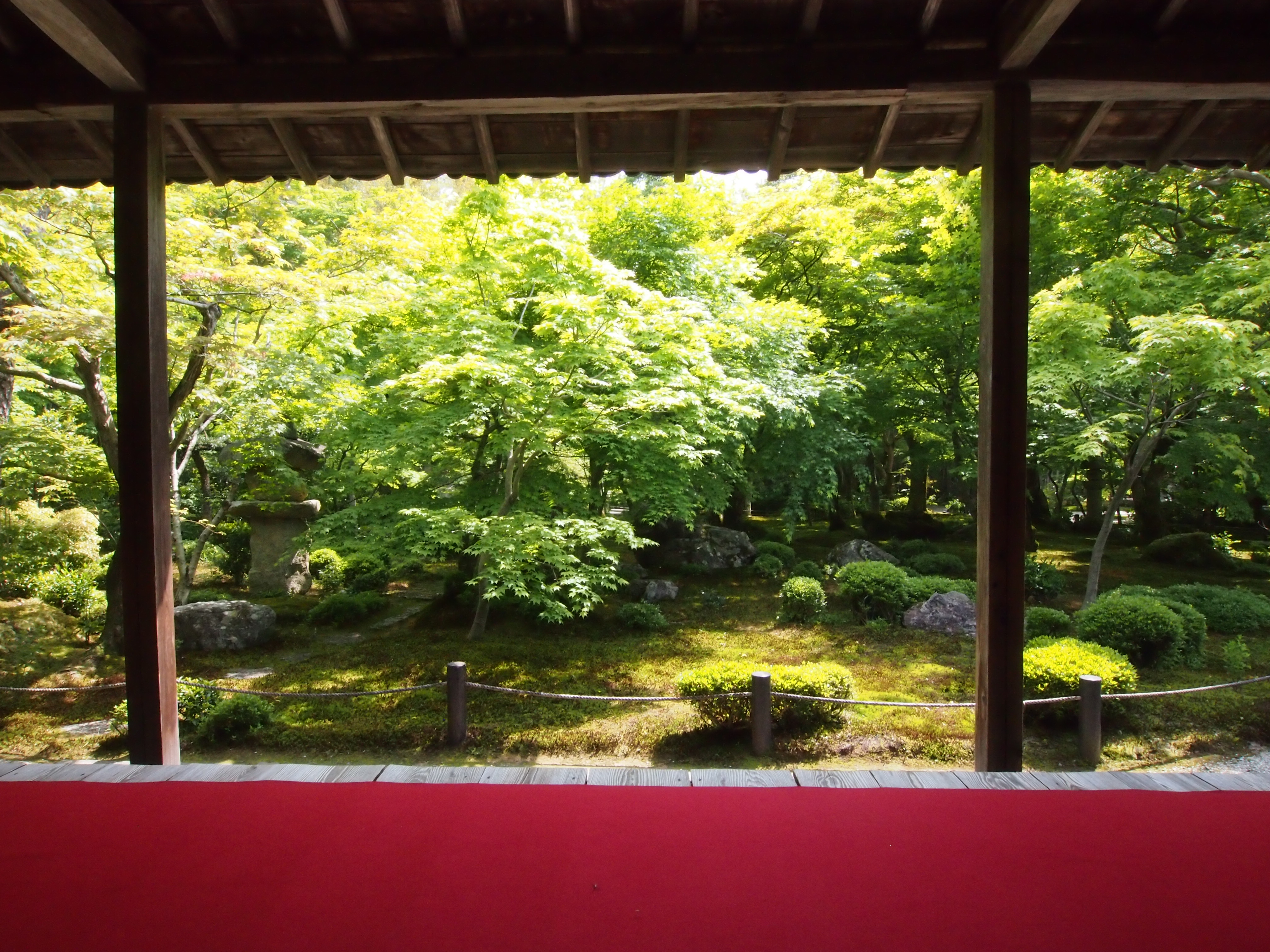 圓光寺庭園の画像