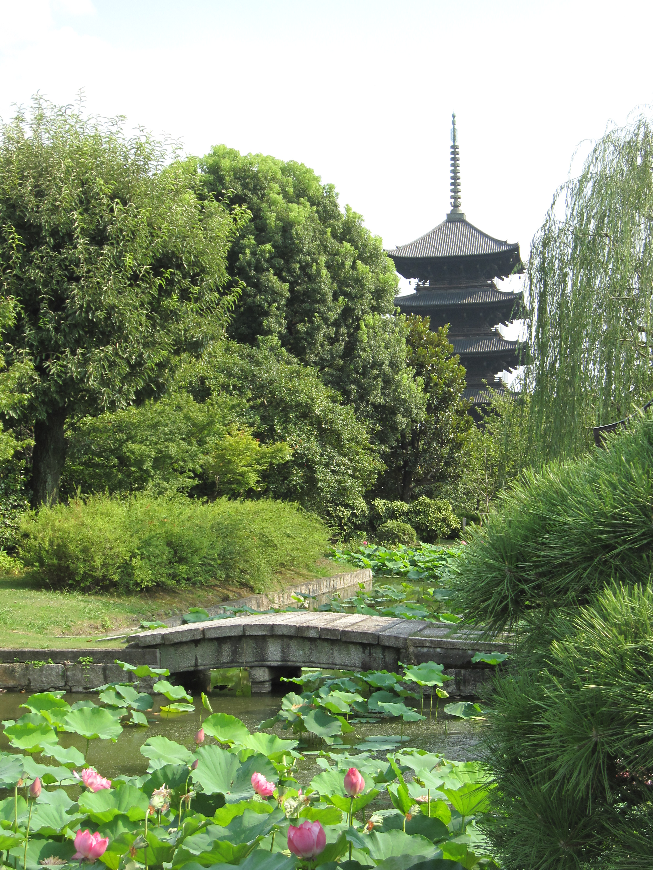 東寺庭園の画像