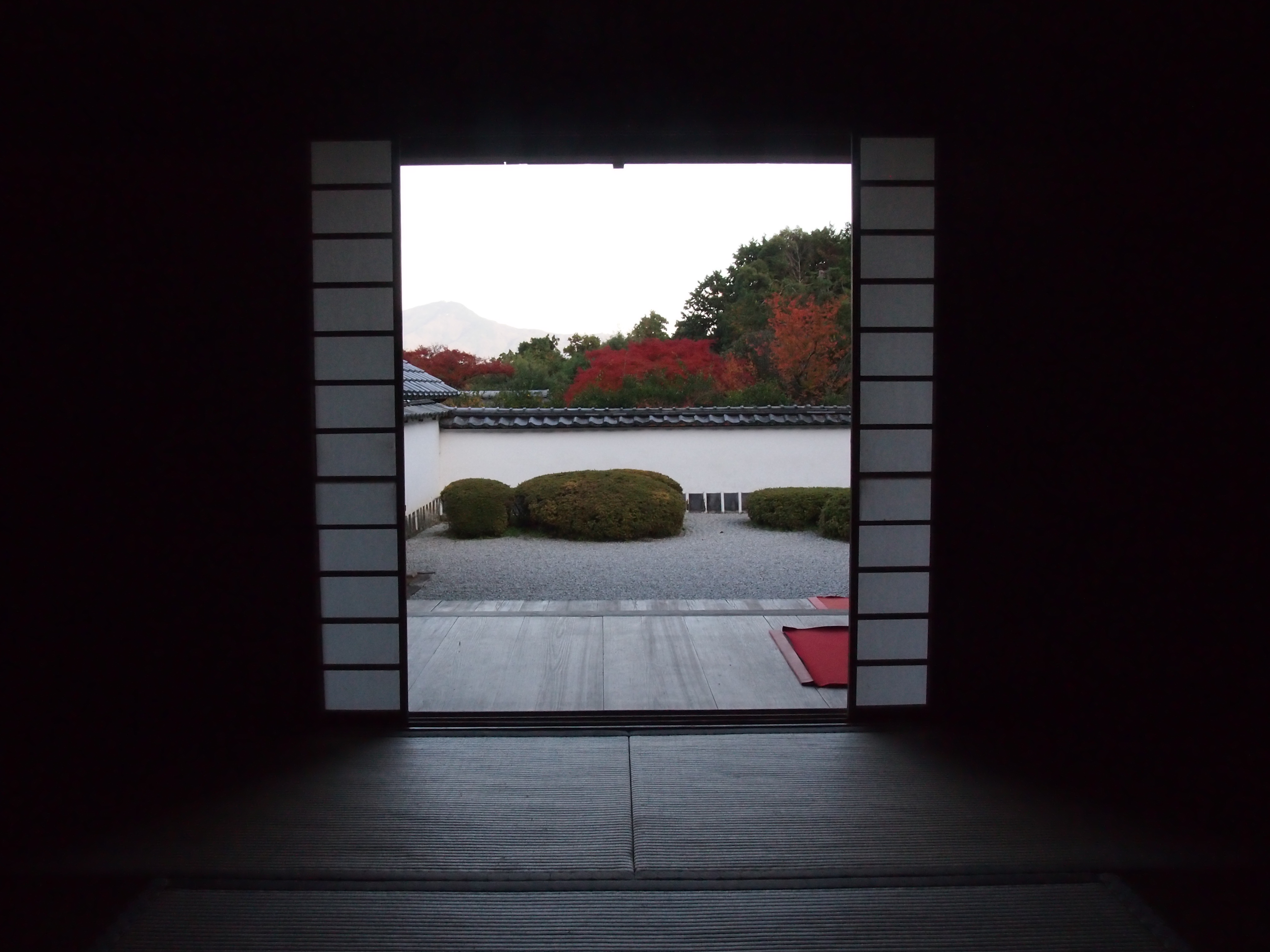 正伝寺庭園の画像