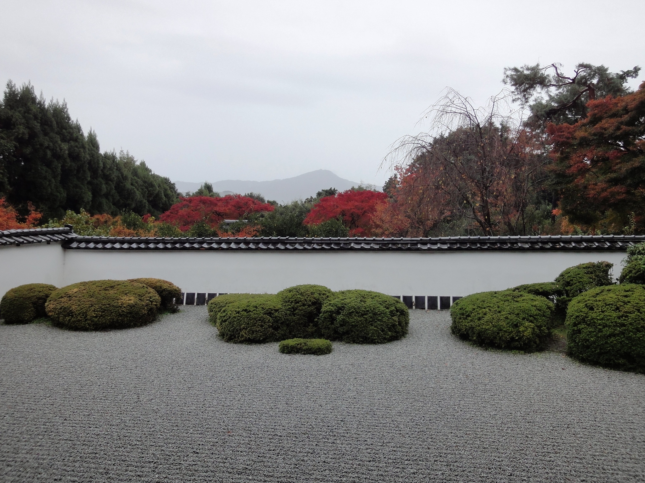 正伝寺庭園の画像