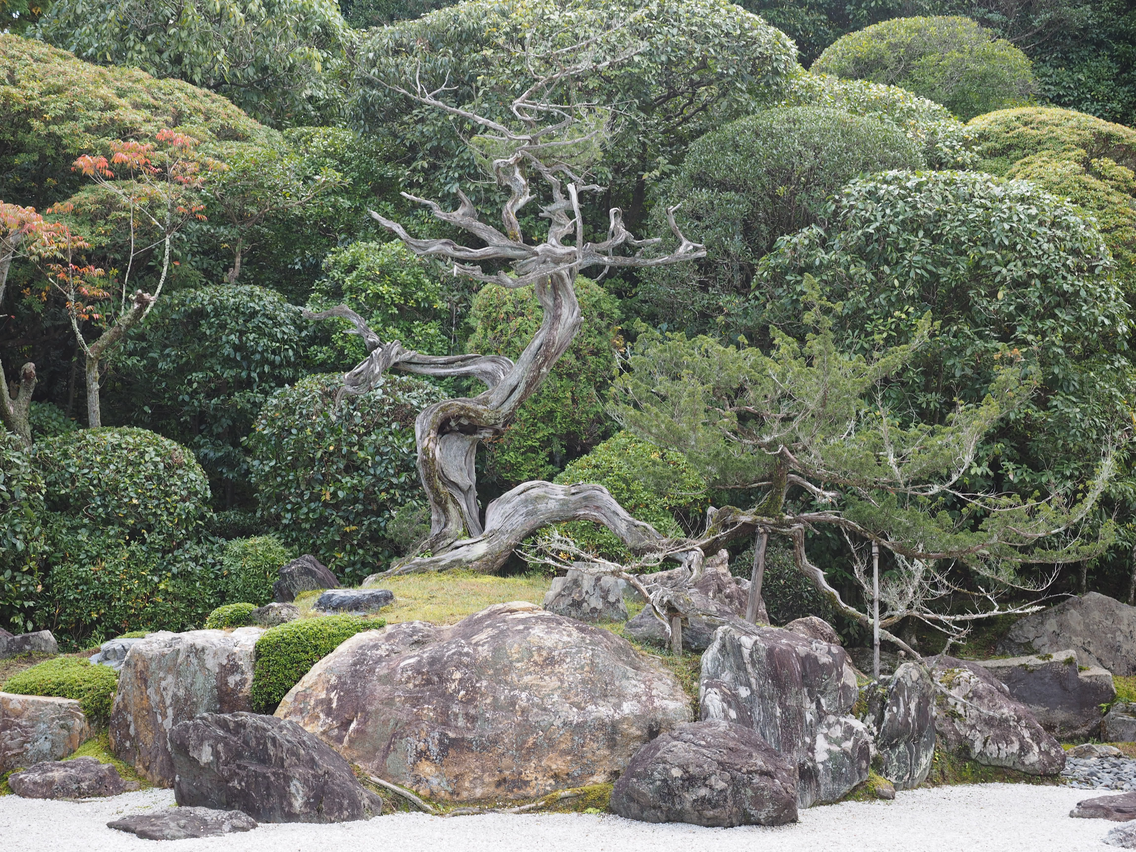 金地院庭園の画像