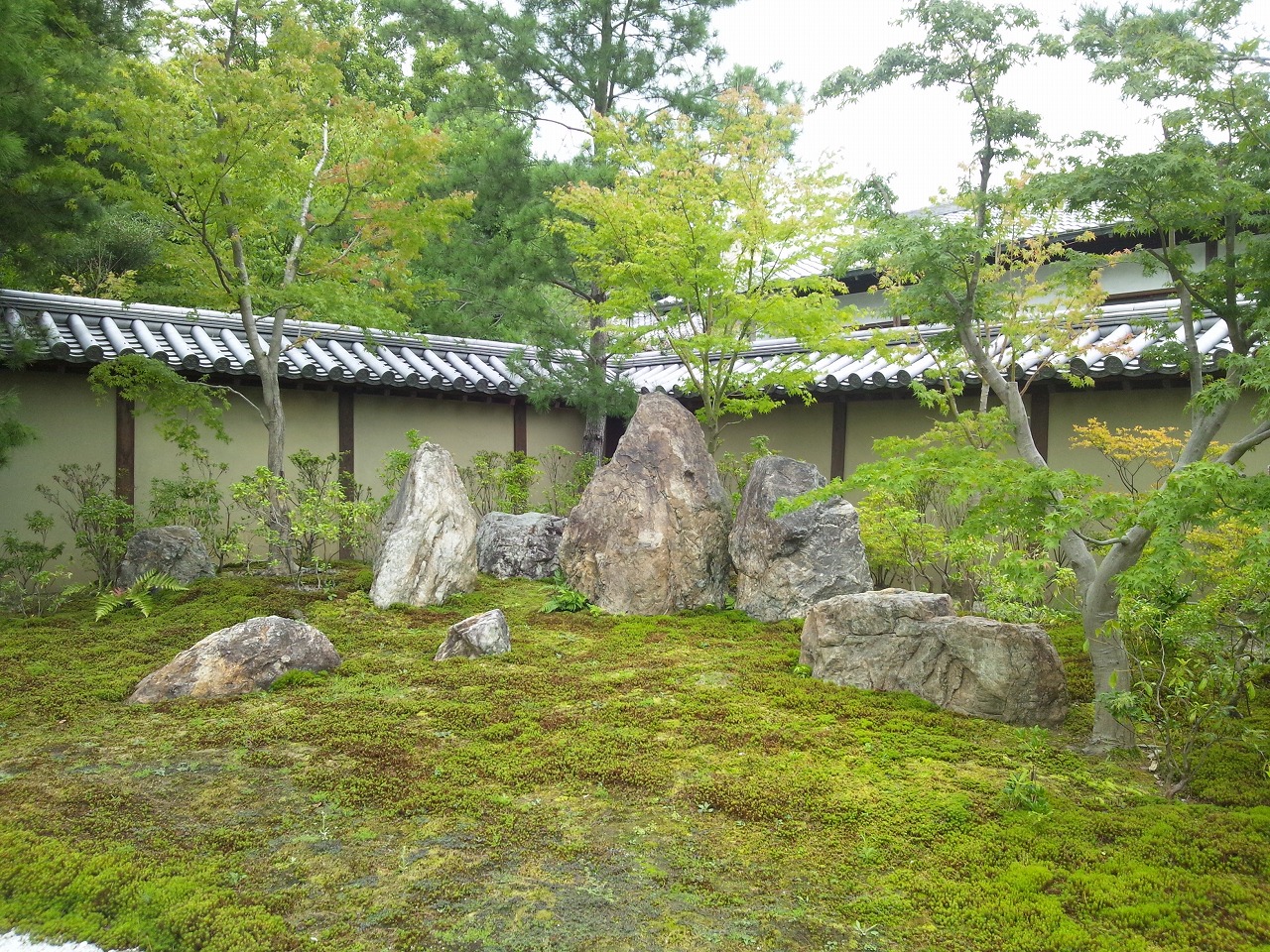 高台寺庭園の画像