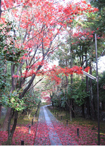 鹿王院庭園の画像