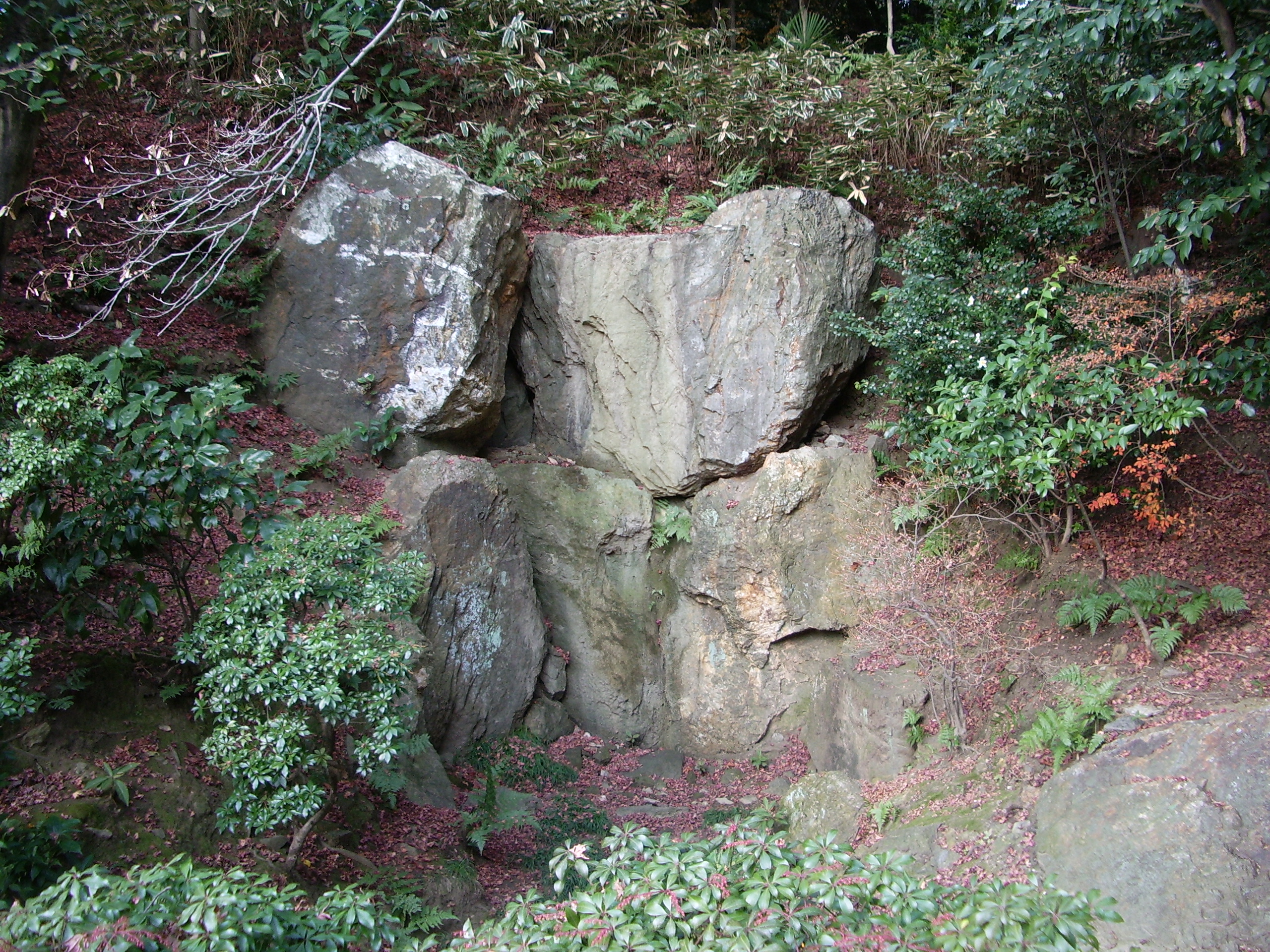 法金剛院庭園の画像