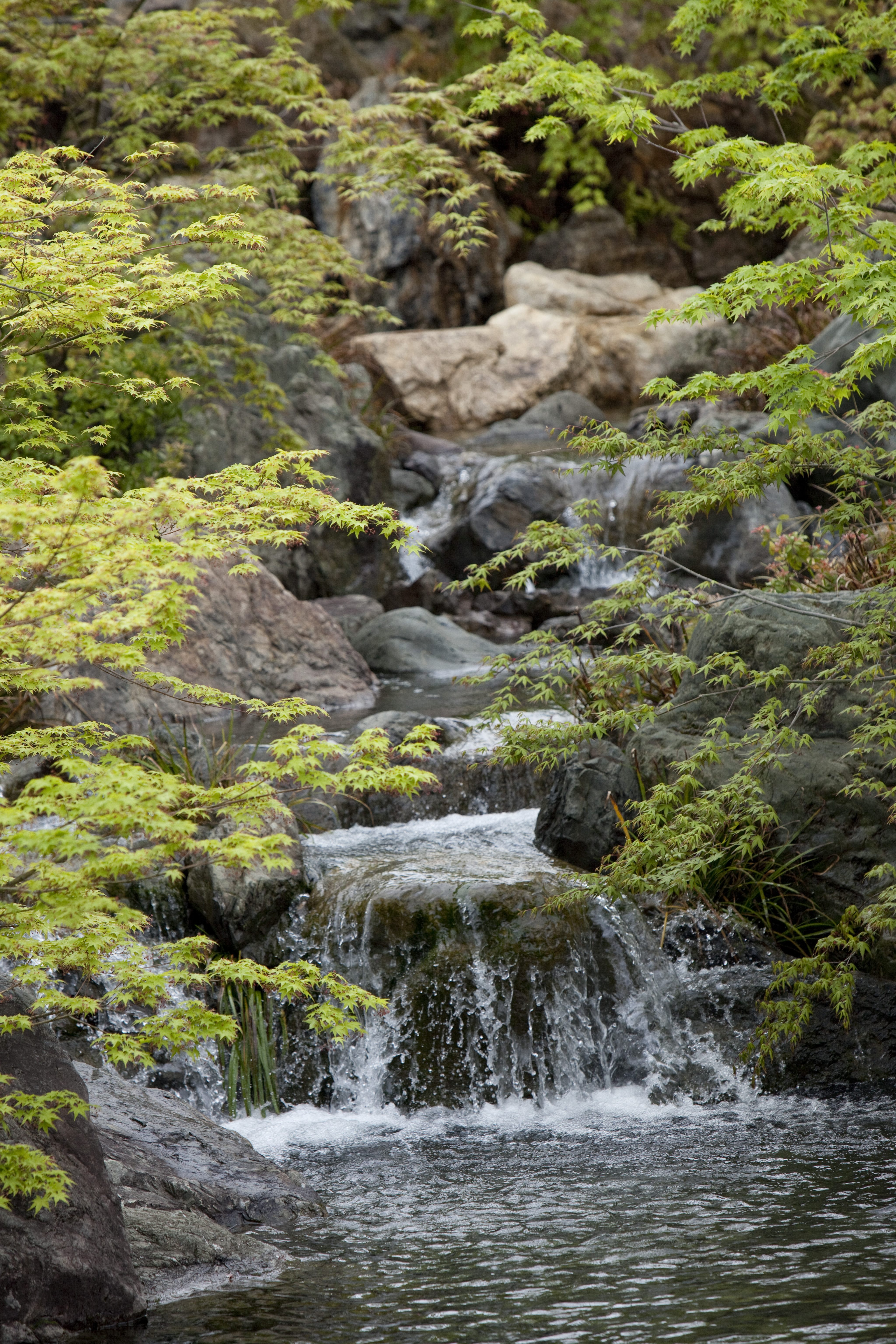 伏見稲荷大社・社務所庭園の画像