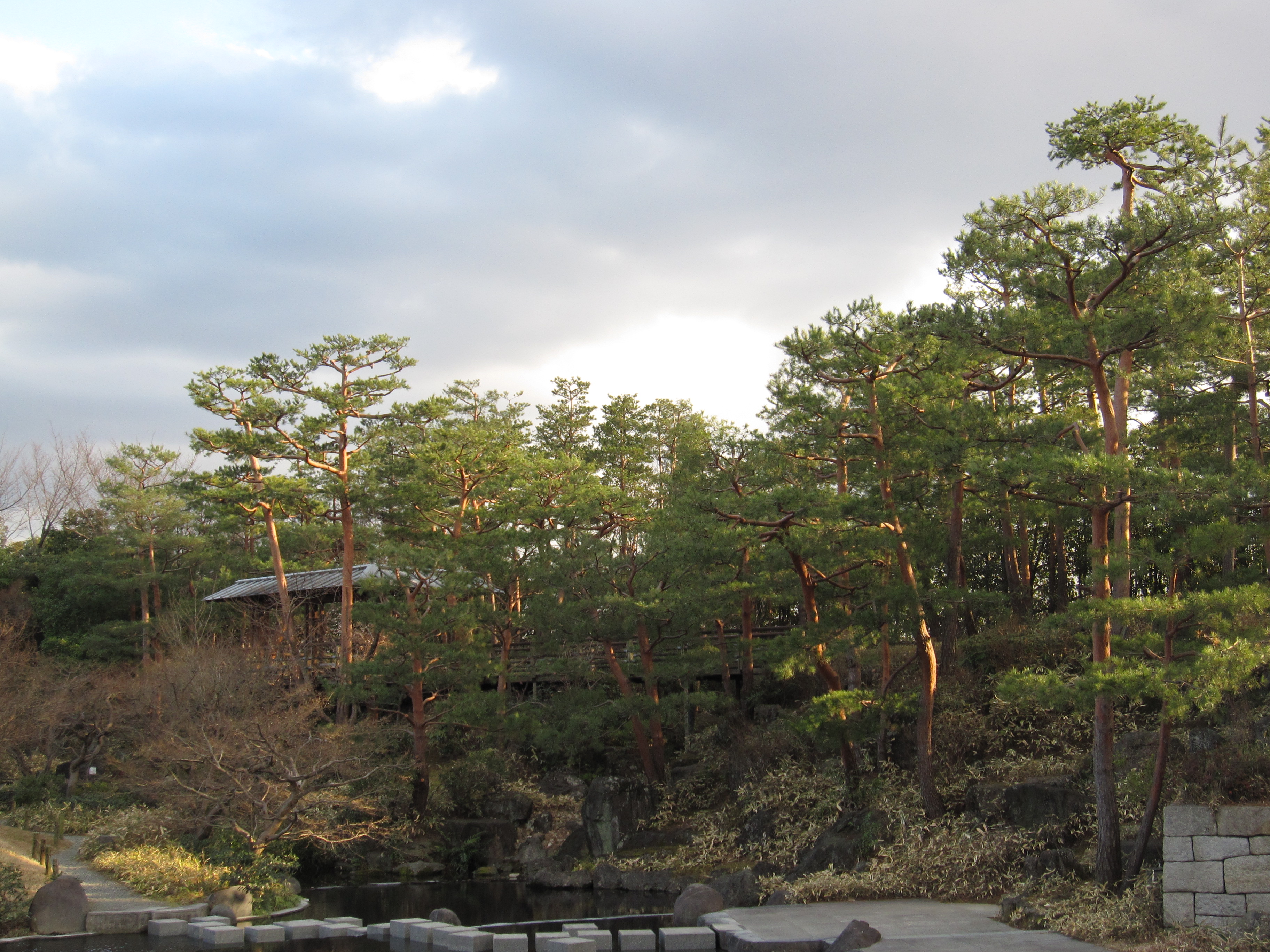 梅小路公園・朱雀の庭の画像