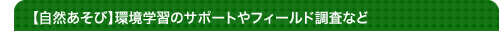 【自然あそび】環境学習のサポートやフィールド調査など
