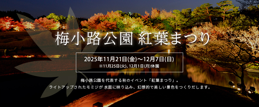 梅小路公園　紅葉まつり