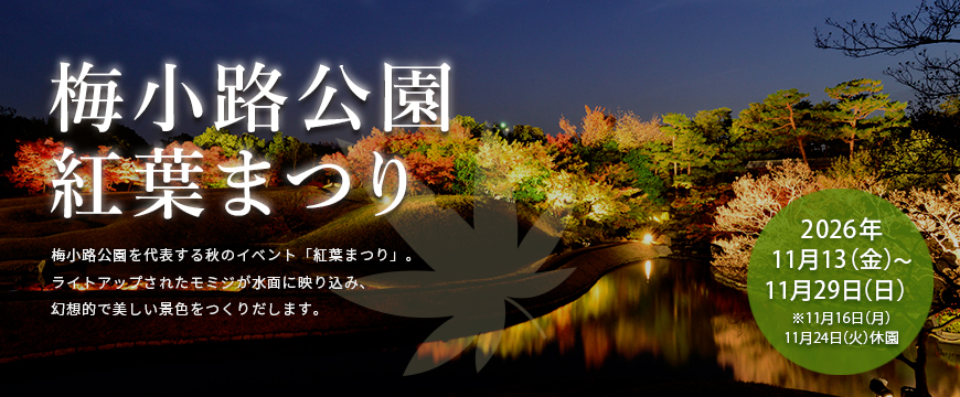 梅小路公園　紅葉まつり