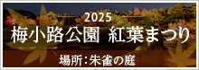 梅小路公園　紅葉まつり