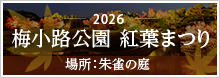 梅小路公園　紅葉まつり